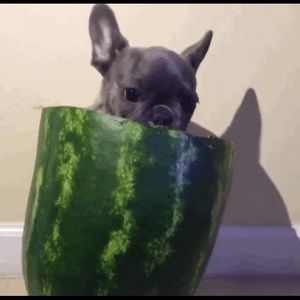 Meet your Posher, Sher